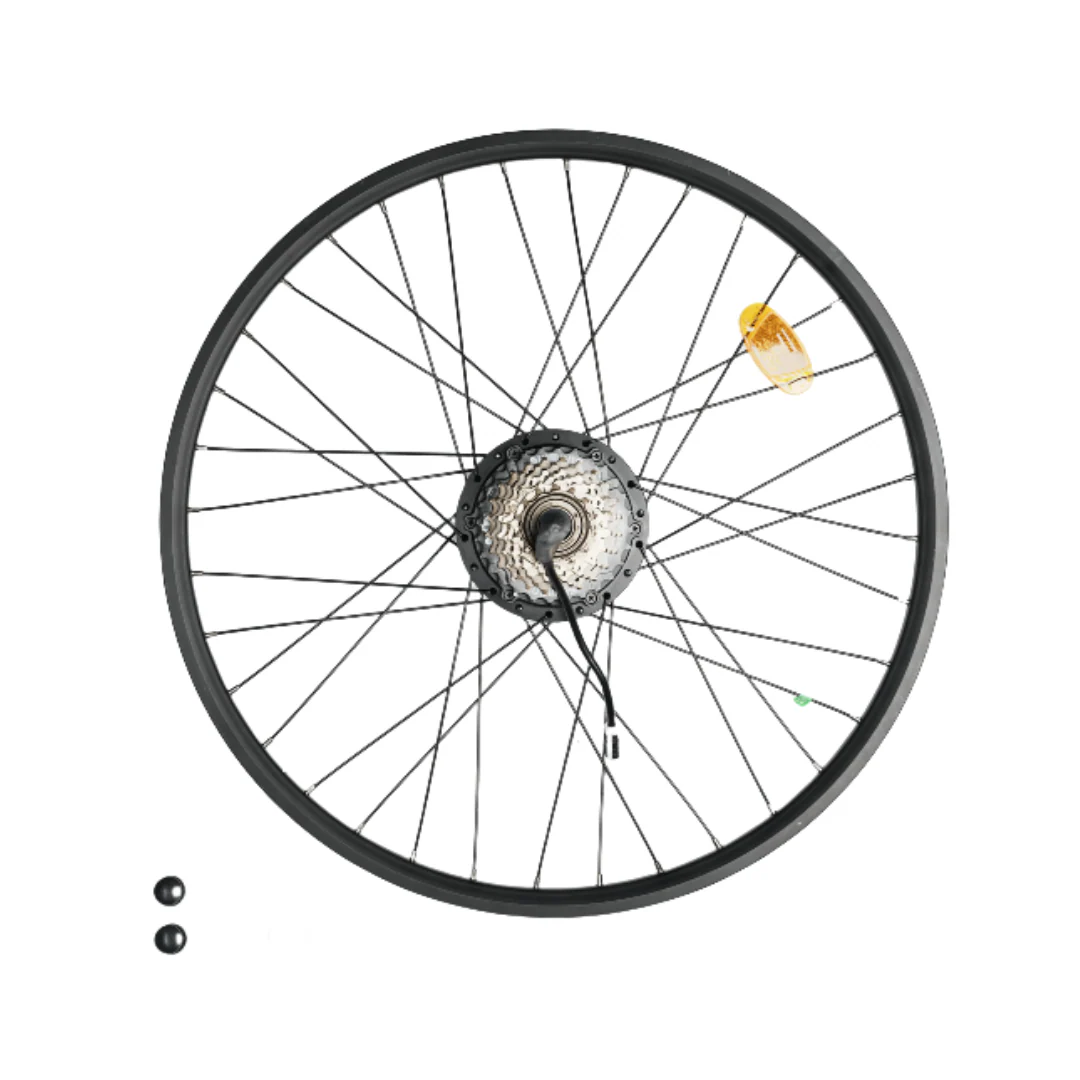 Rear Wheel Motor Replacement for M10Plus Electric Bike